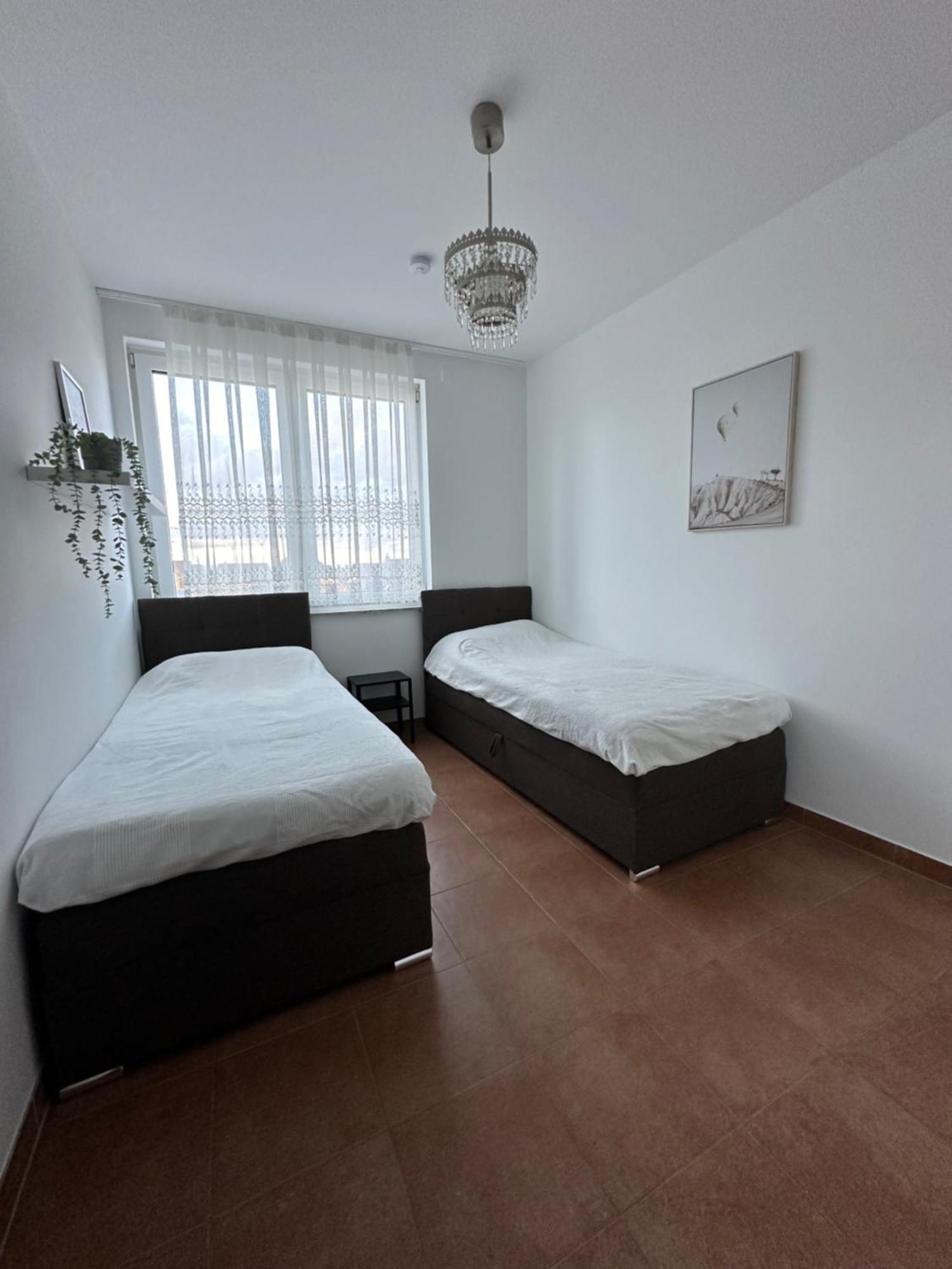 Temporalis Apartment