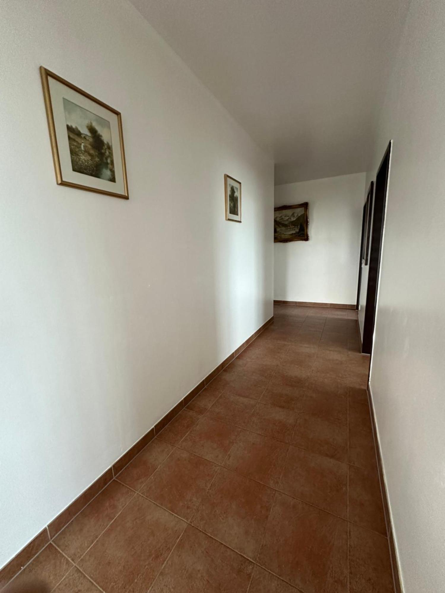 Temporalis Apartment